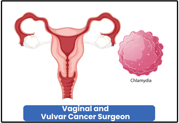 Vaginal and Vulvar Cancer